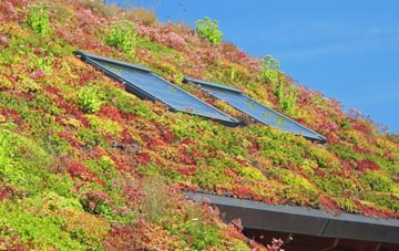 Sandamhor living roof systems