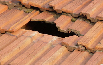 roof repair Sandamhor, Highland
